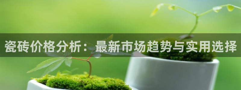 万事通娱乐棋牌：瓷砖价格分析：最新市场趋势与实用选择