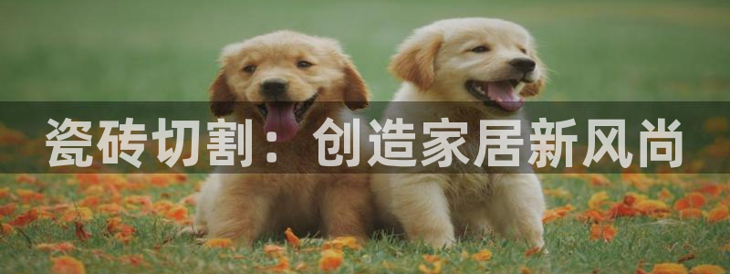 万事达娱乐何善良