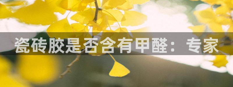 万事达娱乐代理