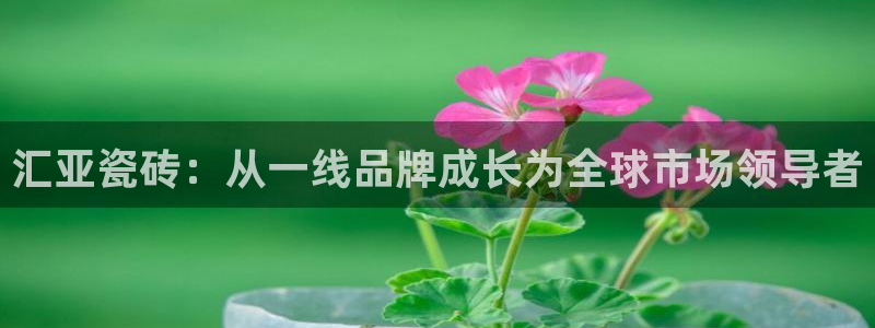 娱乐万事通直播
