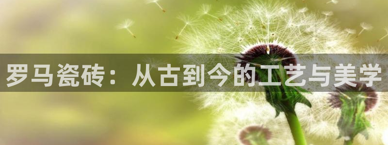 万事娱乐总代