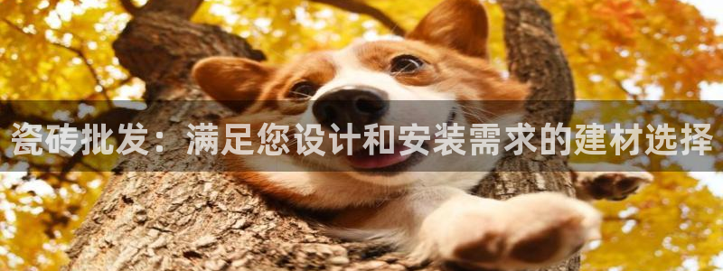 娱乐万事屋张宇
